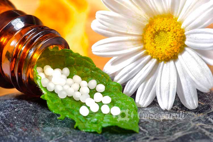 Curso de Programa de Especialización en Homeopatía